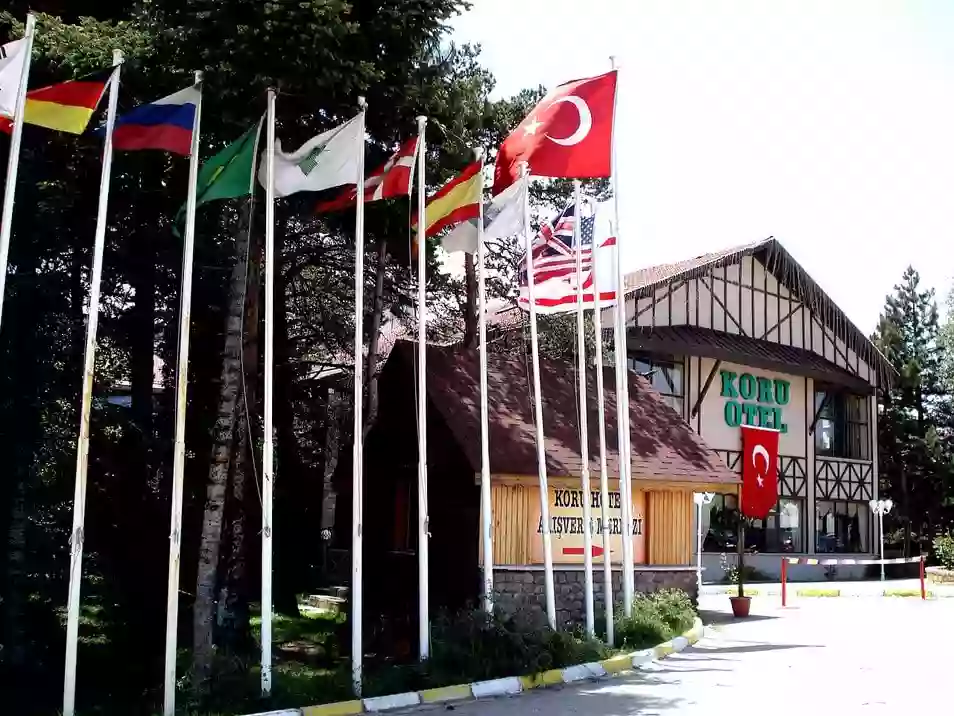 otel-bayragi-4